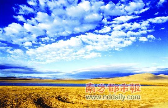浙江省委常委最新名单与探索自然美景之旅，寻找内心平和宁静的旅程
