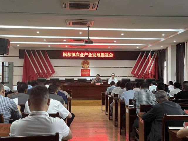 阳新县枫林镇最新新闻回顾与概述