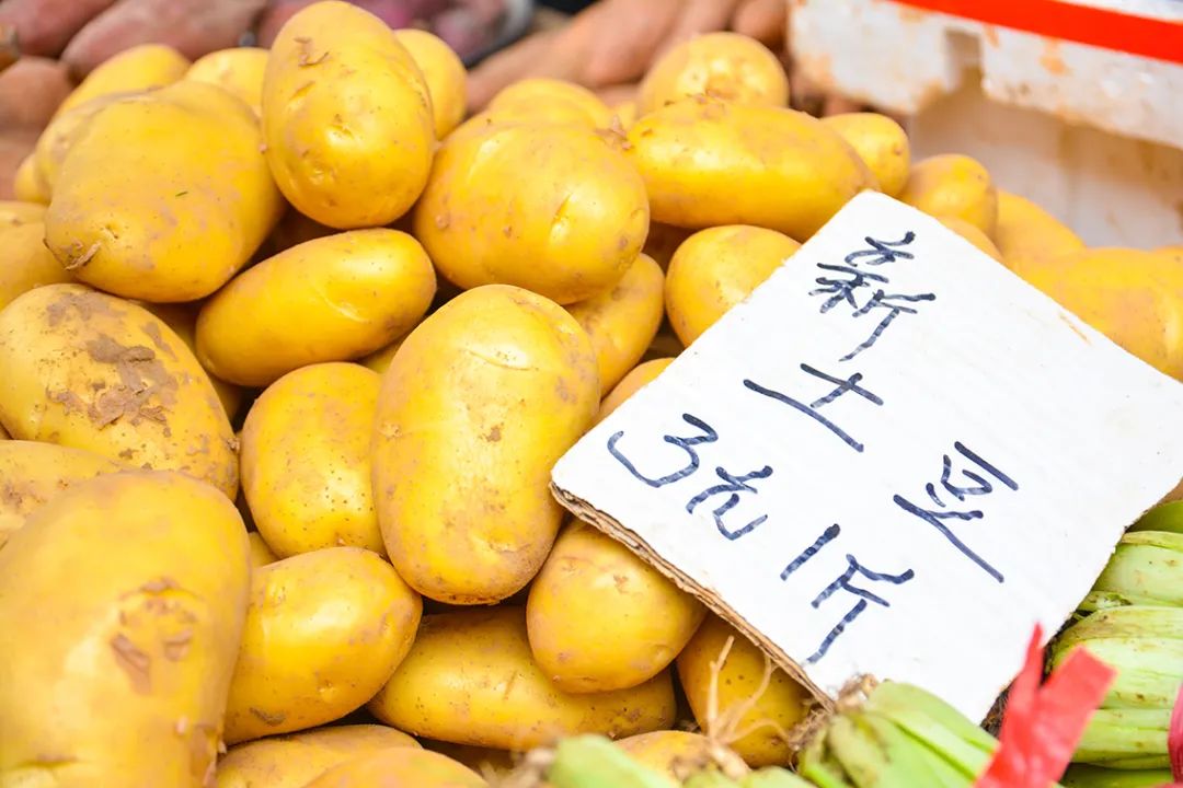 临沂土豆价格