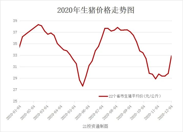 生猪最新价格