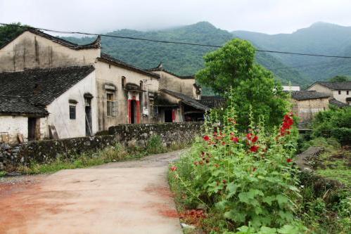 金石滩周边招聘动态与小巷独特风味小店探秘