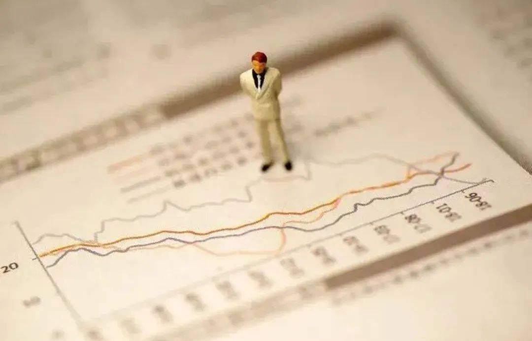 探索上市公司，内涵、影响及案例揭秘
