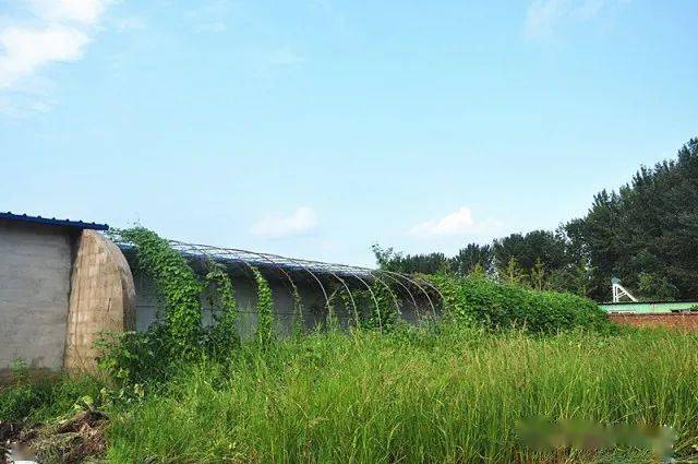 通州区宋庄镇科技风潮涌动，未来生活新篇章揭晓最新动态