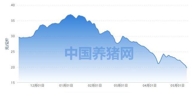 绿森最新,绿森最新，追溯其在时代中的崛起与影响