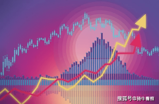 投资价值魅力