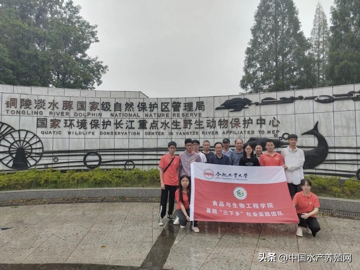 合肥未来城市