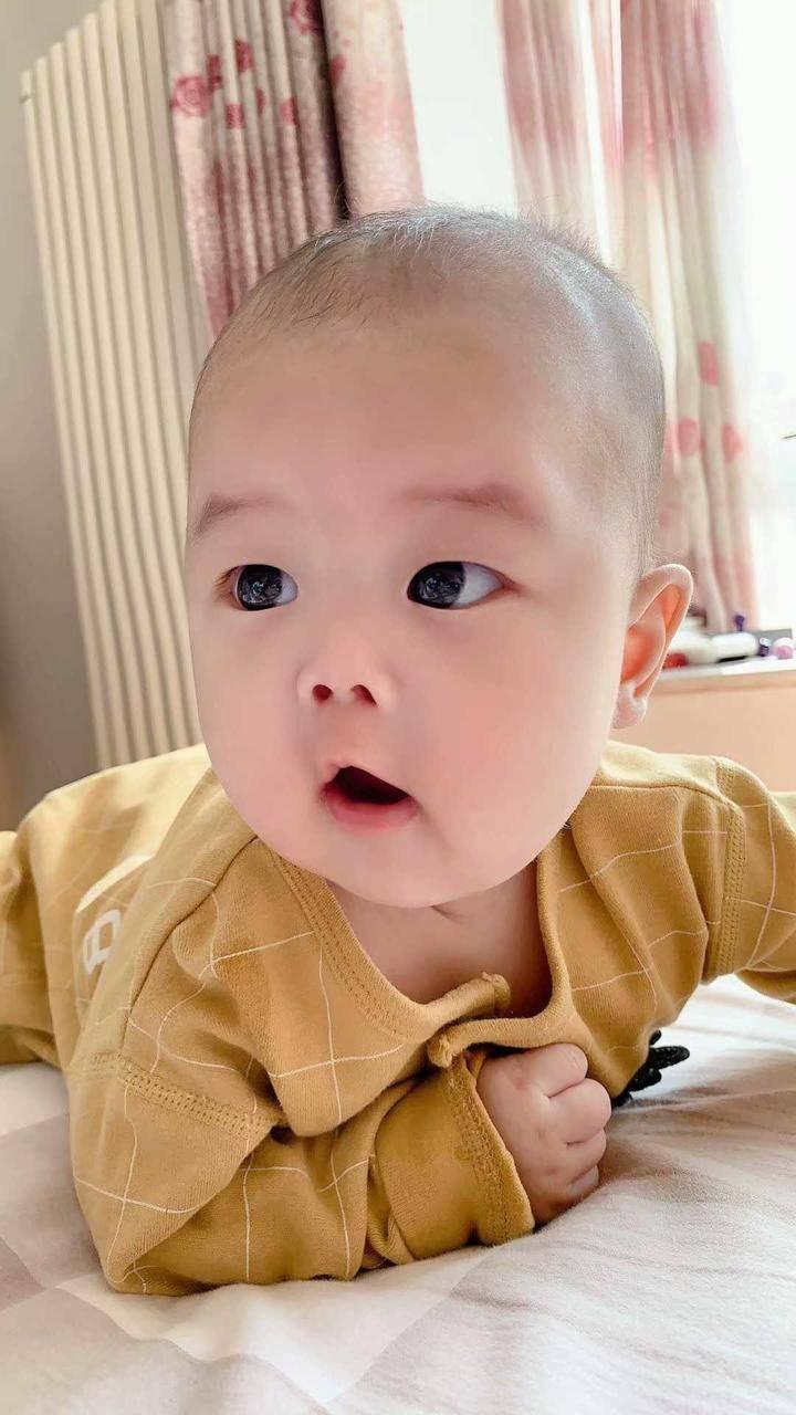明星大厨游戏