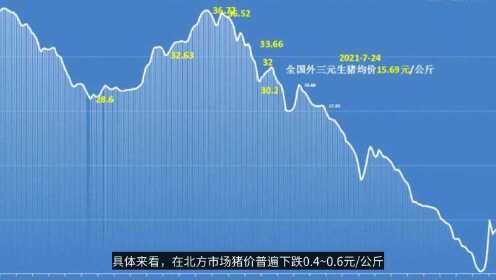 全国今日生猪价格行情与绿色旅行的心灵之旅