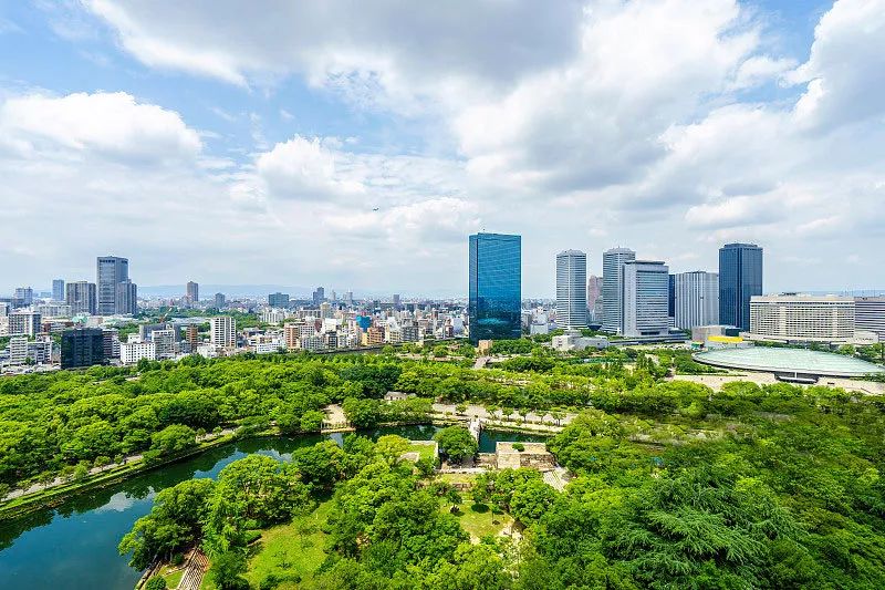 市场趋势与前景