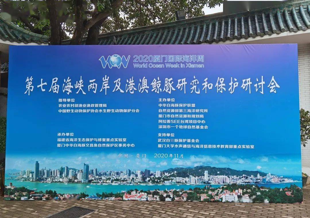 职场机遇探索