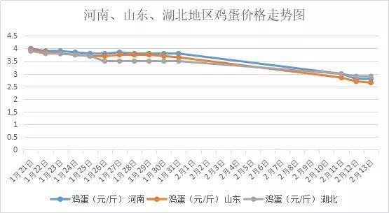鸡病专业网市场