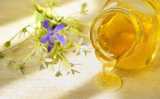 科技与自然交织的甜蜜探索（或科技与自然融合）