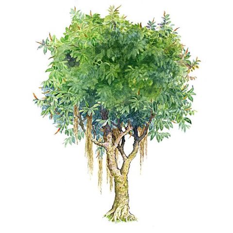 瑞树资讯，日常温馨小事中的爱与陪伴