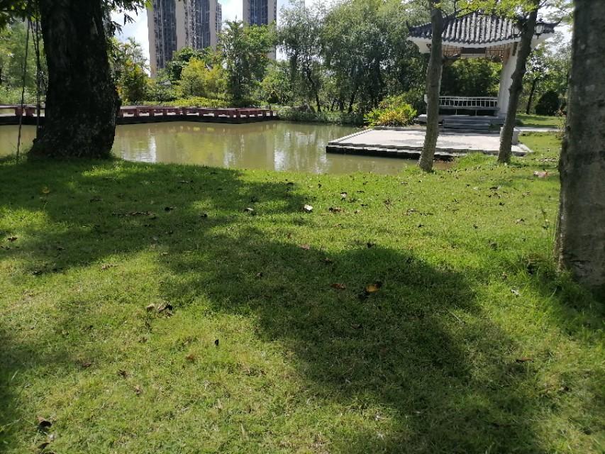 中山港口最新职位招聘