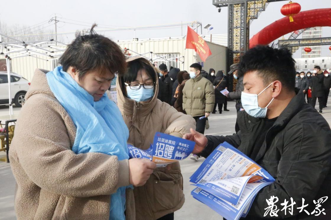 长清区最新招聘信息全面概览
