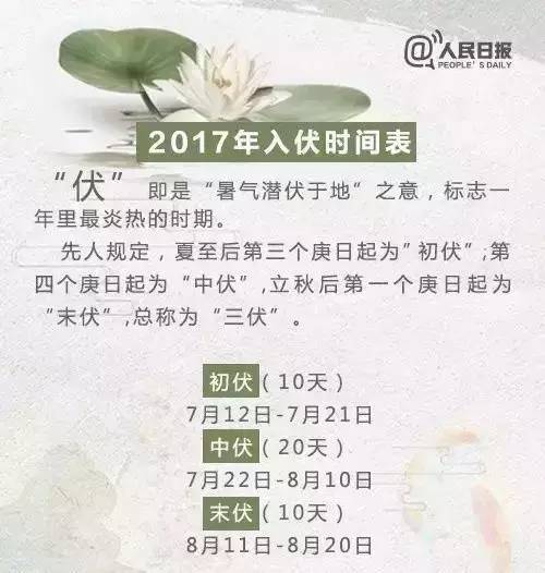 夏日友情的微光