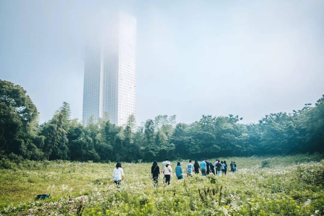 行业最新动态与探索自然美景之旅，追寻内心的平和之地
