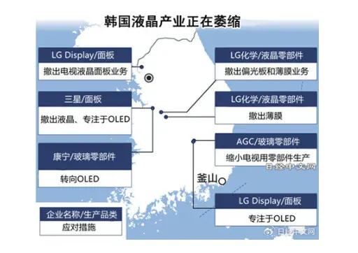 特定领域中的崛起与影响力