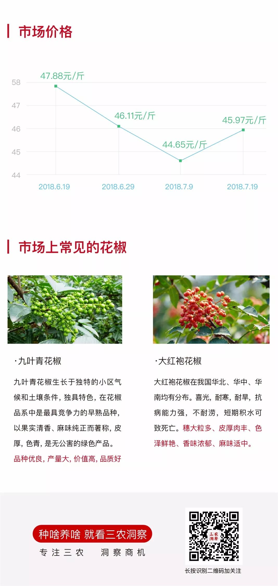 市场走势与影响因素分析