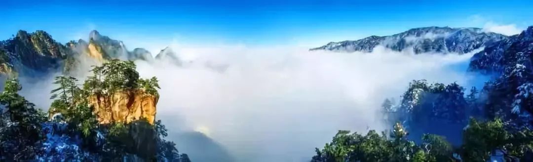 大靠山最新，科技之巅引领生活巨变