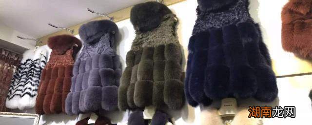 貂皮最新价格行情