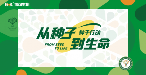 绿色生活新篇章