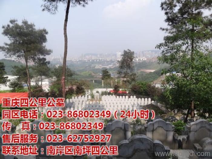 最新价格表