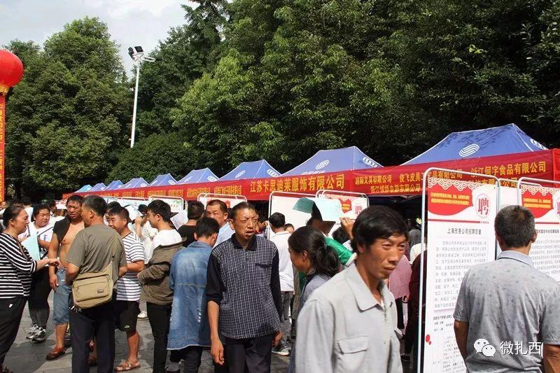 招聘指南与概览