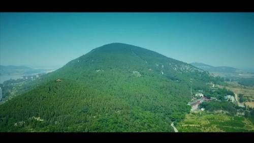 钼价之旅