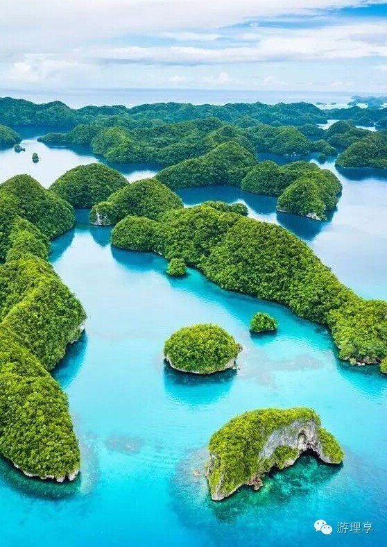 玖玖热最新，自然美景的轻松探索之旅