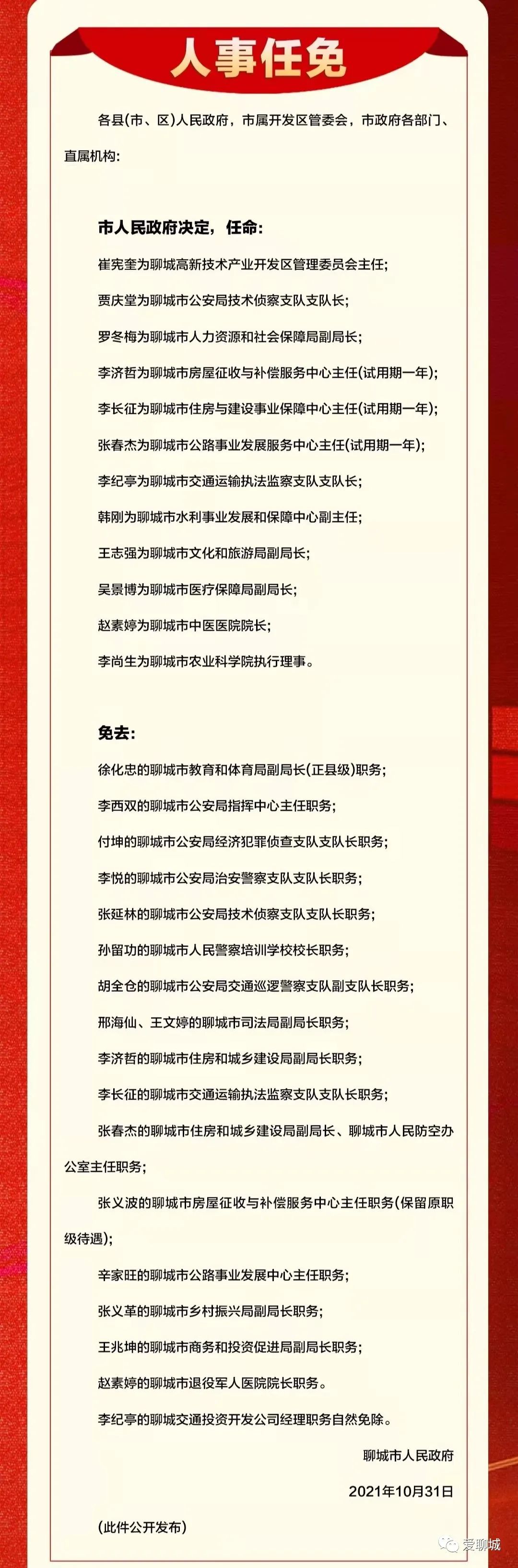聊城最新人事任免动态及解析
