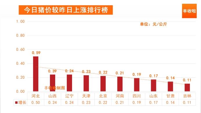 今日全国猪价最新涨跌背后的友情与陪伴故事