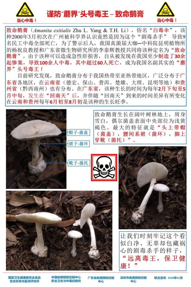 步骤指南揭秘