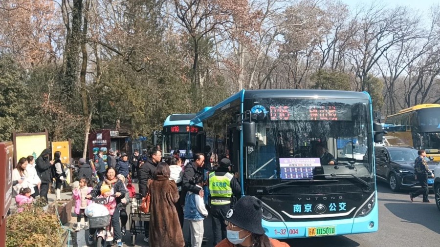 南京最新公交线路，轻松探索自然美景之旅