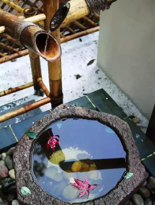放置奇兵兑换码最新更新，与自然美景的奇妙邂逅