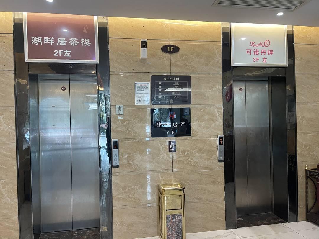 最新全面解读及指南
