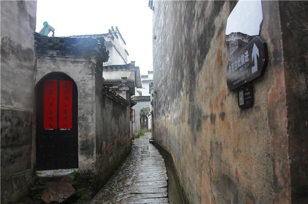 易看最新版本下载指南及小巷深处的独特风味探索之旅