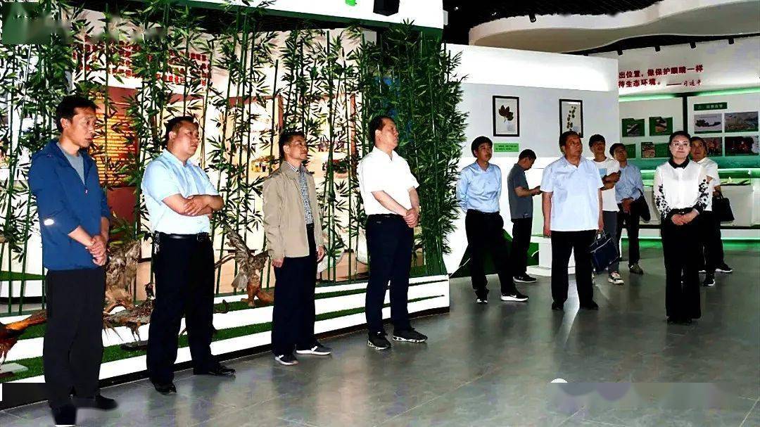 广州市陈建华与自然美景的邂逅，寻找内心平和之旅的最新消息