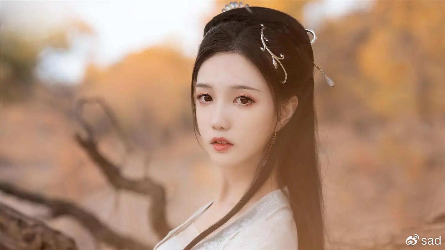 童晓西洛景辰最新章节揭秘，探秘故事新进展