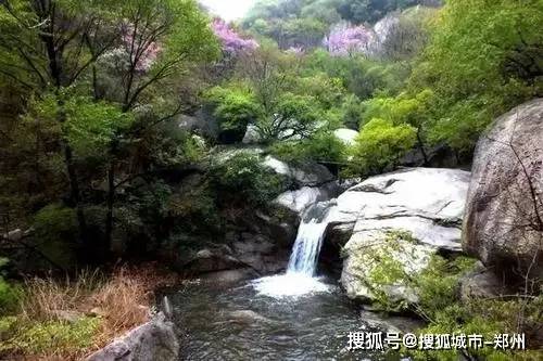 嵩县天池山洪水事件最新动态与观点论述