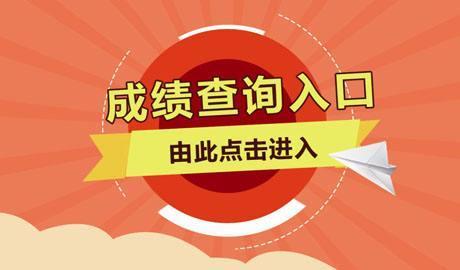 网络文学魅力