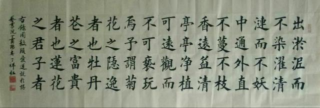 最新神奇图片三句话，自然美景探索之旅，寻找内心平和与宁静的宁静之地