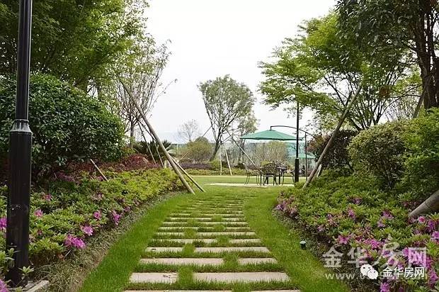 中建海西晓郡最新消息详解，初学者与进阶用户指南