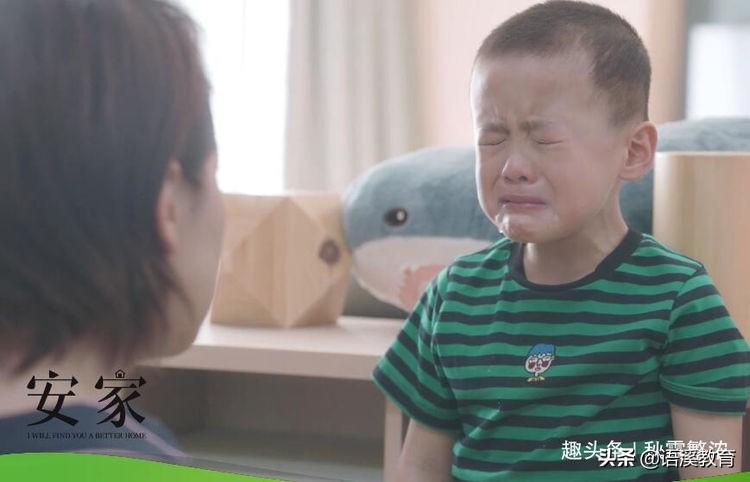 苹果爱派最新款深度解析与个人推荐