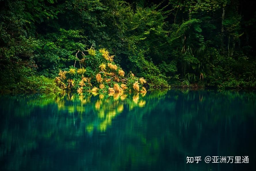 最新网络热点与探索自然美景之旅，追寻内心的平和