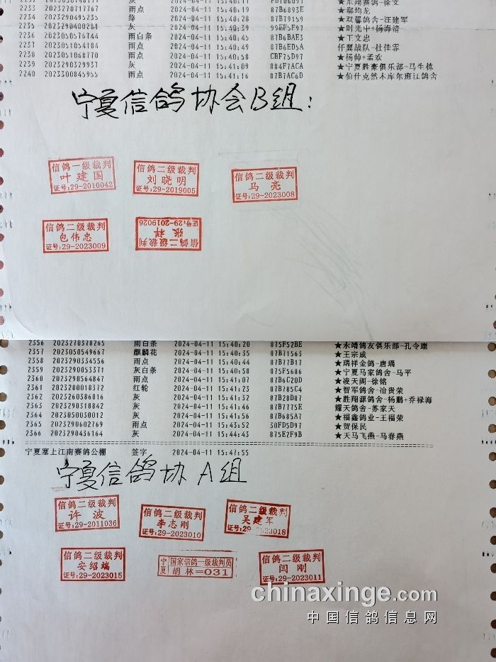 开鲁信鸽协会最新公告发布
