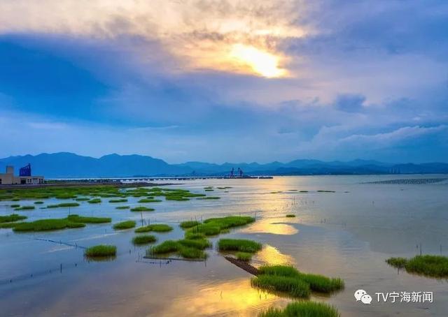 宁海在线最新风情概览