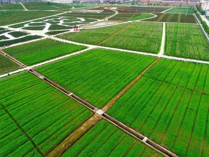 村民自留地最新政策,村民自留地最新政策，步骤指南