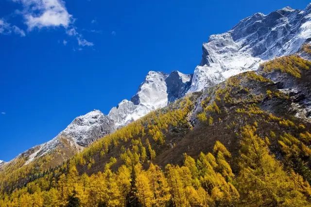 梁伯承与林靡的探险之旅，最新自然美景探索章节