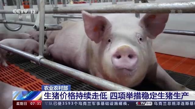 今日肥猪价格最新行情及查询理解详细步骤指南